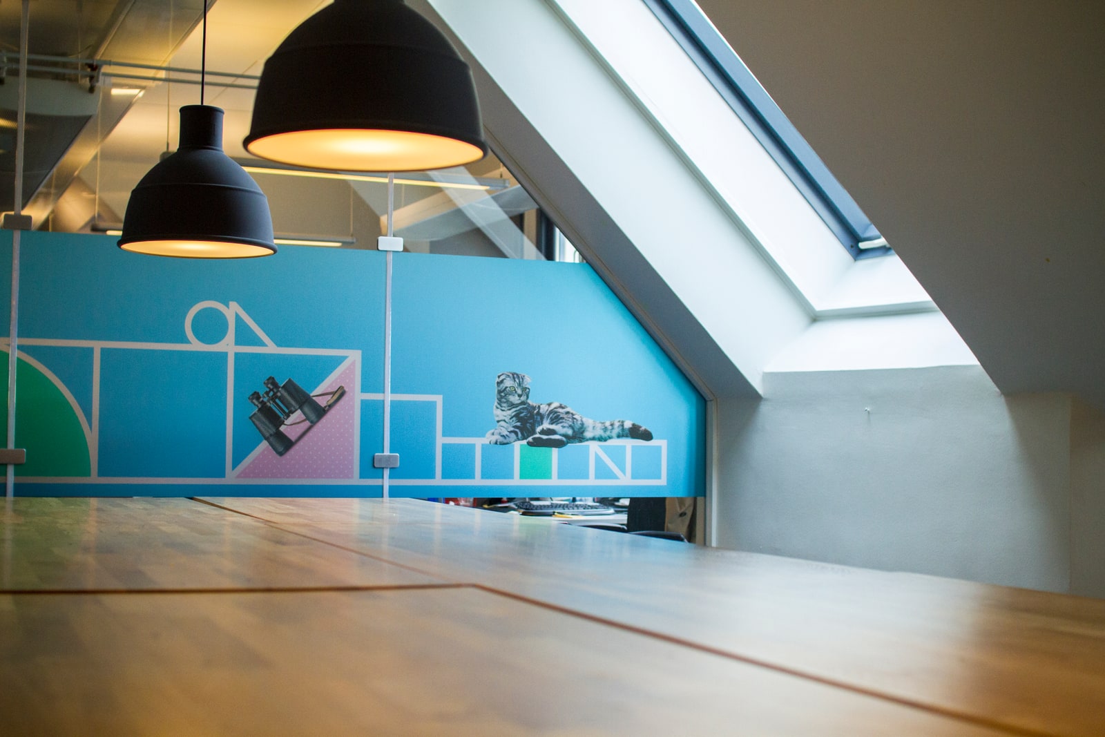 Blue FINN illustration wall beneath a sloping office roof
