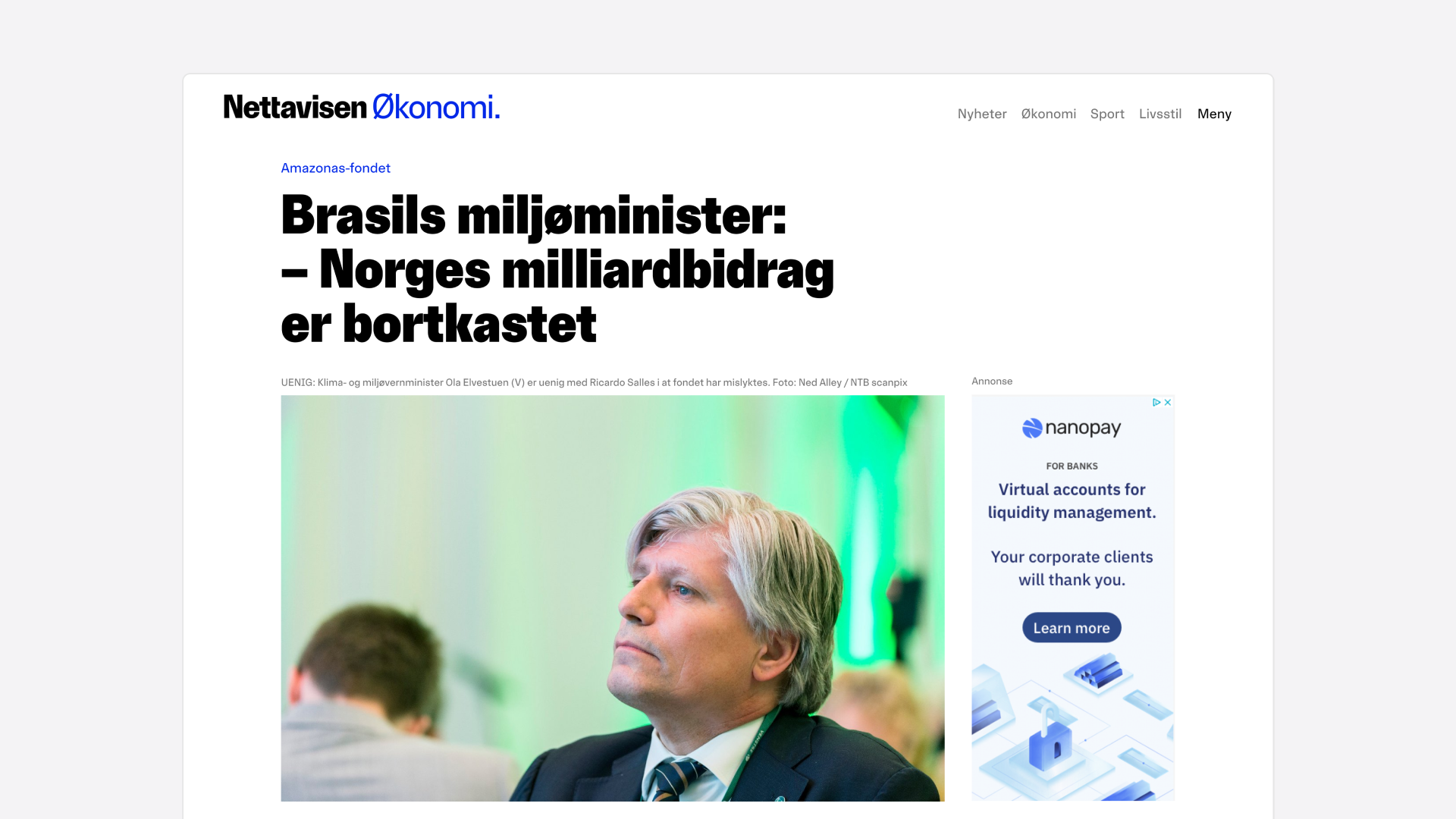 Nettavisen economy article headline and photography